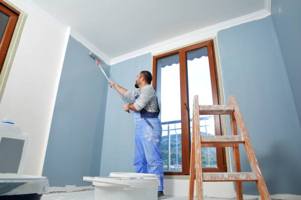 Best Drywall Removal and Disposal  in Bucyrus, OH